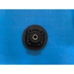 AR 06 - 029
ARKA DİŞLİ GÖBEĞİ