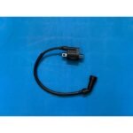 AR 06 - 086
ATEŞLEME BOBİNİ