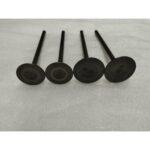 GT 250MAX- 002
EMME-EKSOZ SİBOBU