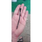 MAX-T 042
DERECE MÜŞÜRÜ