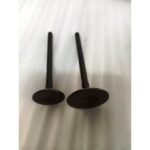 MAX-T 127
EMME-EKSOZ SİBOBU