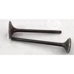 MT125 - 099
EMME-EKSOZ SİBOBU