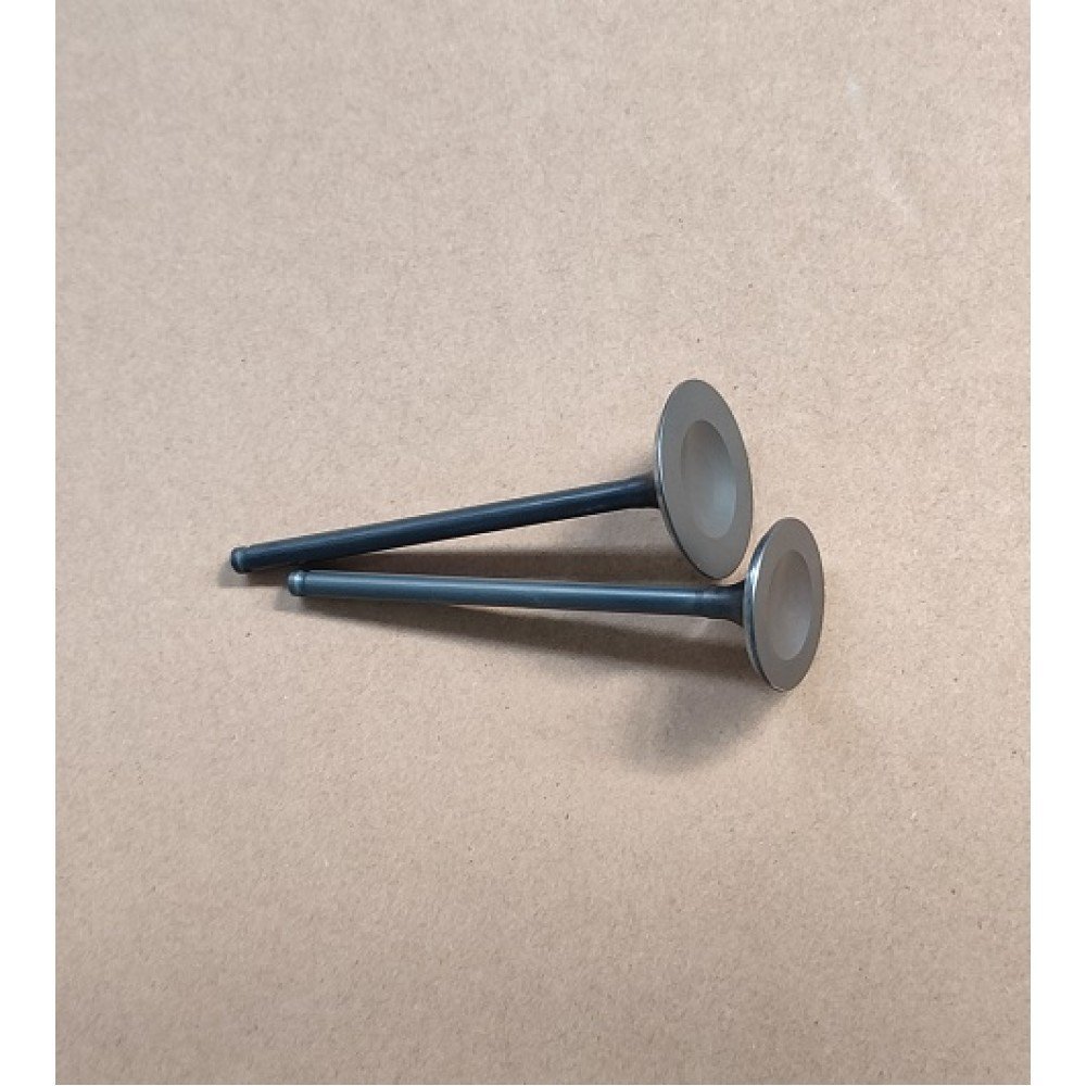 SK250-KV- 143
EKSOZ SUBABI_699cc3279bee2.jpeg SK250-KV- 143
EKSOZ SUBABI - Görsel 1