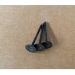 CHINF318 - 166
EMME-EKSOZ SİBOBU