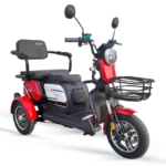 Arora RÜZGAR MOPED