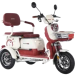 Arora RÜZGAR NEW MOPED